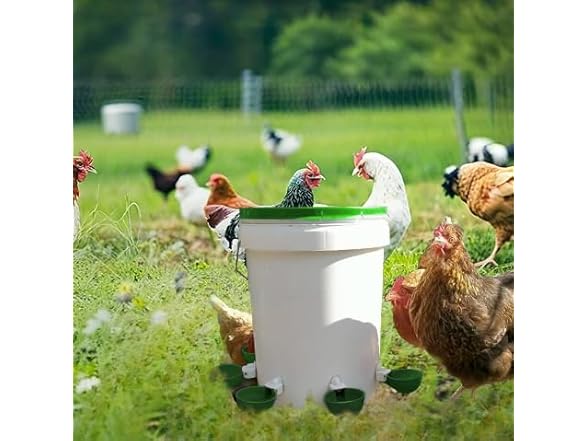 Farmight Automatic Poultry Waterer Kit