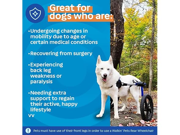 Walkin' Wheels Dog Wheelchair - for Med/Large