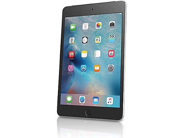 Apple APPLE-MK6J2LLA-16GB-B Apple iPad mini 4 (Wi-Fi, 16GB (Open Box)
