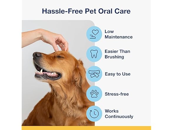 ProDen PlaqueOff System Dental Care Bones