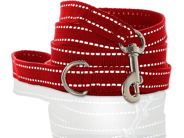 Pet Passion Max II - 2-Pack Reflective Leash & Collar