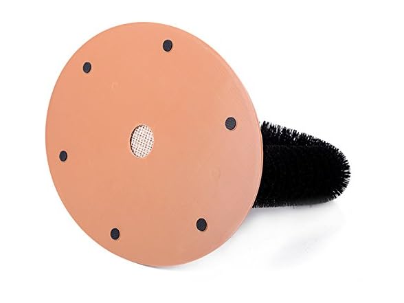 BUYTER Cat Massage Scratching Bristle Arch