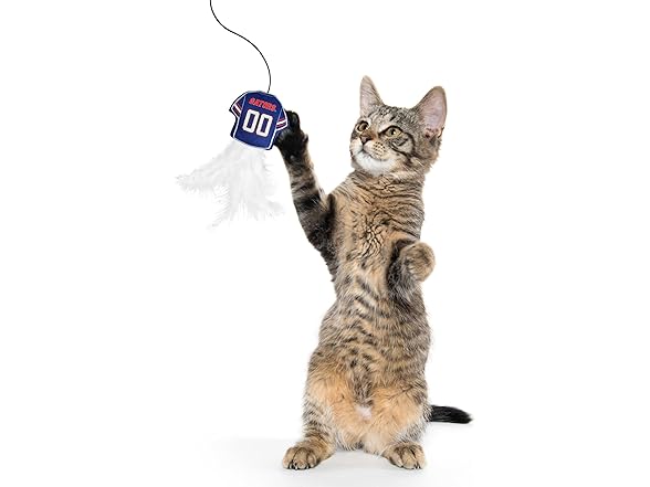 NCAA Florida Gators Team Jersey Wand with CAT NIP
