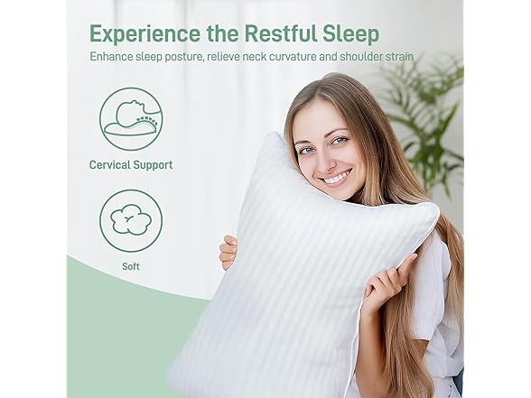 Cotelovo King Size Down Alternative Pillows