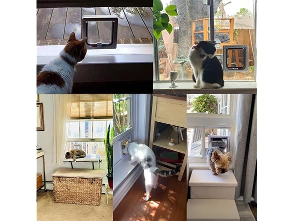 Custom Cat Door Window Insert