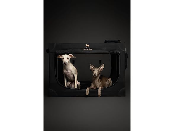 NOAH & PAW Collapsible Dog Crate