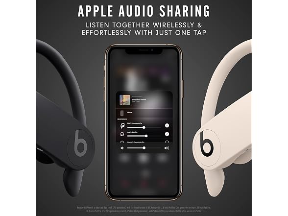 Beats Beats Powerbeats Pro Wireless Earbuds -