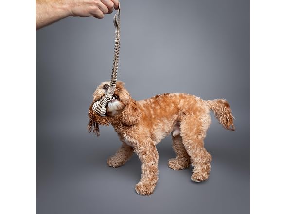 NOAH & PAW Luxury Dog Toy, Dog Rope Toy- Sling, Beige
