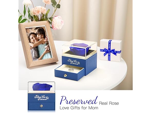 WILDLOVE Preserved Real Blue Rose