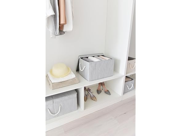 Sukkri Gray Storage Bins with Lids 2 PK