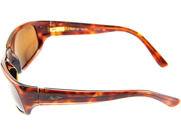 Tortoise/HCL Bronze Polarized