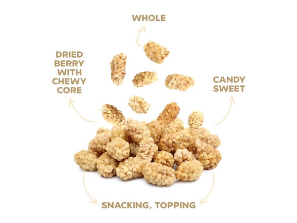 20Pk Drybox Seasonal Natural Dried Fruit Pack