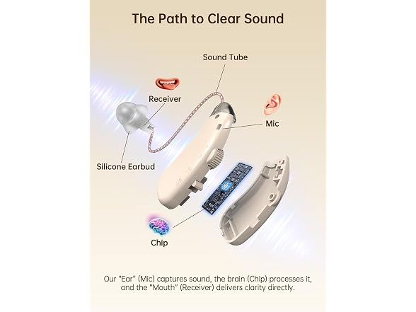 Bigprot 2026 Digital OTC Hearing Aids
