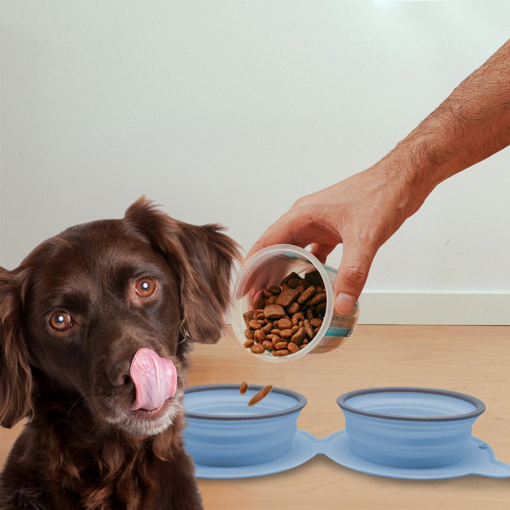 Folding Silicone Pet - Water and Feeding Bowl - Gallery 11