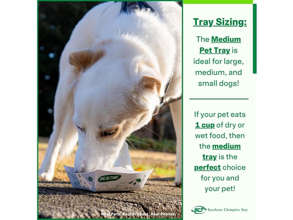 SCT, Disposable Pet Food Bowls - Your Choice