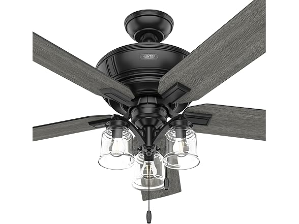 Hunter Fan 54-inch w/ Light and Pull Chain, Refurbished