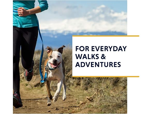 Ruffwear, Flat Out Dog Collar (Formerly Hoop