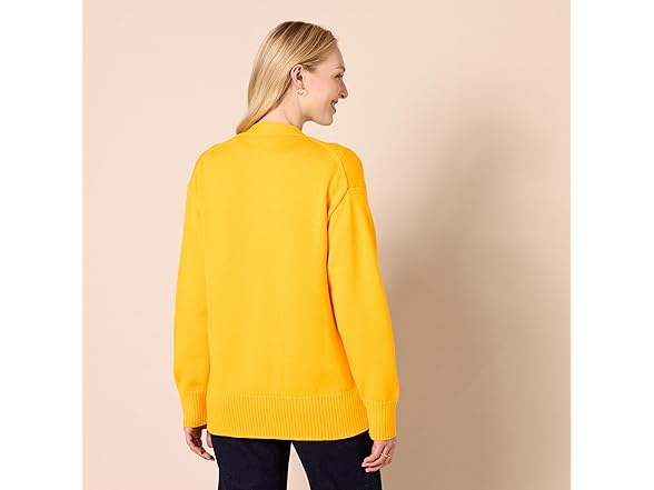Amazon Essentials Women Large V-neck Sweater