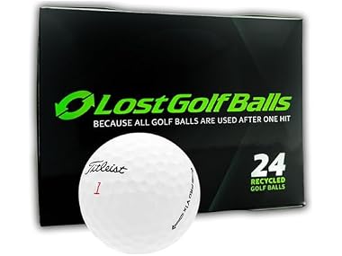 $24.99, Was $32.39, 22% Off! LostGolfBalls Used Titleist Pro V1x 2021 Golf Balls (24 Pack) dealfomo