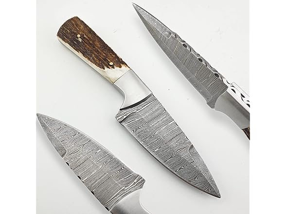 Vetus Hunting Knife Stag Handle Damascus 8"