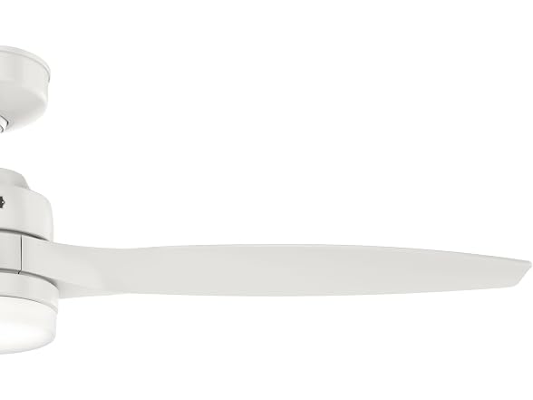 Hunter Fan 52 inch Ceiling Fan with Light