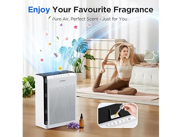 RGB Outdoor Lights Pro 200ft