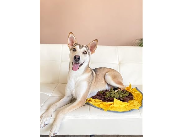 Injoya Sunflower Snuffle Mat for Dogs - 19" x