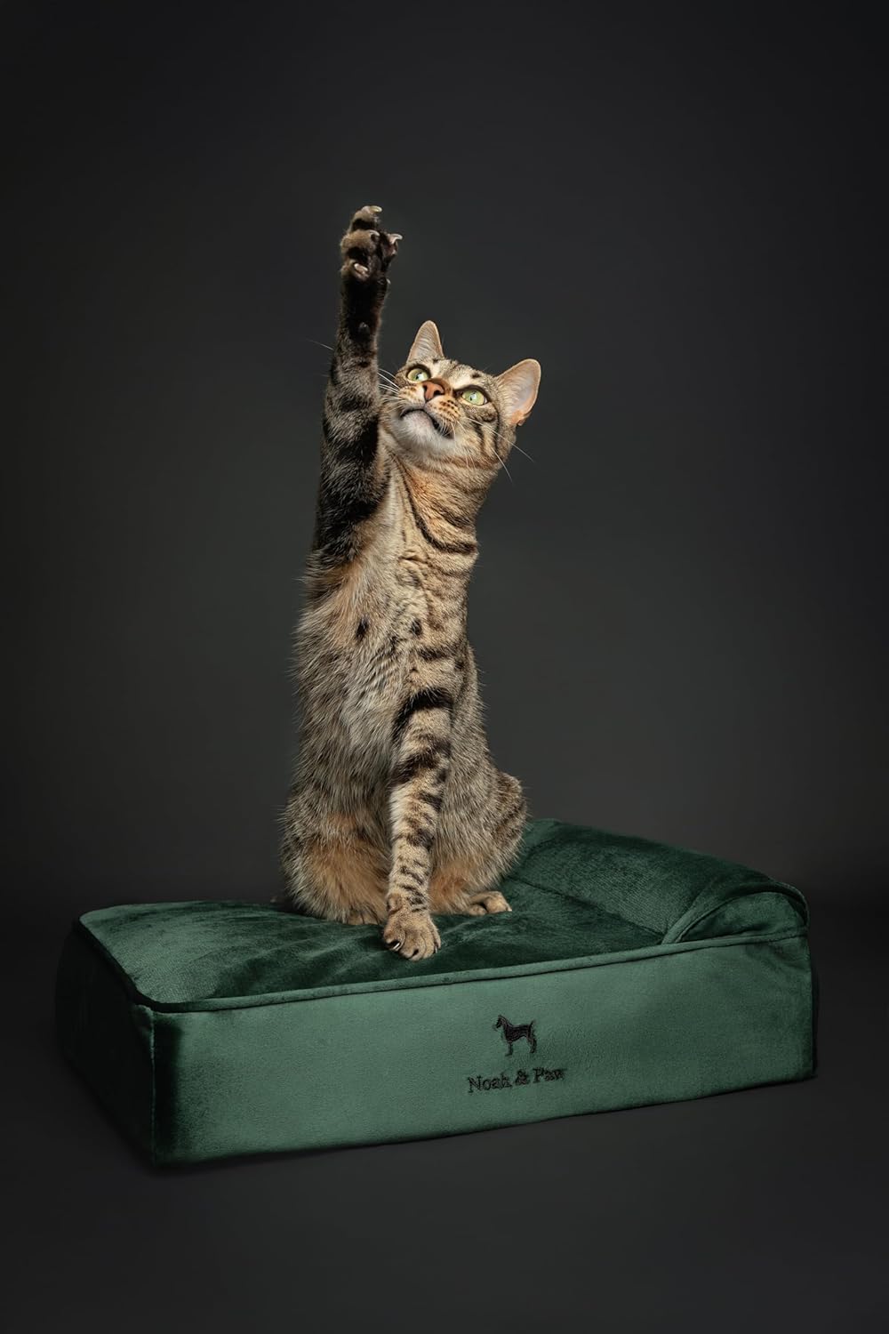 NOAH & PAW Orthopedic Dog Beds- Small - Gallery 12