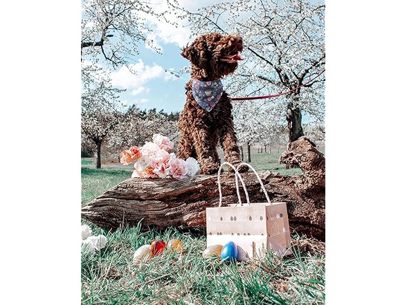 Pawskido 2 Pack Easter Dog Bandana
