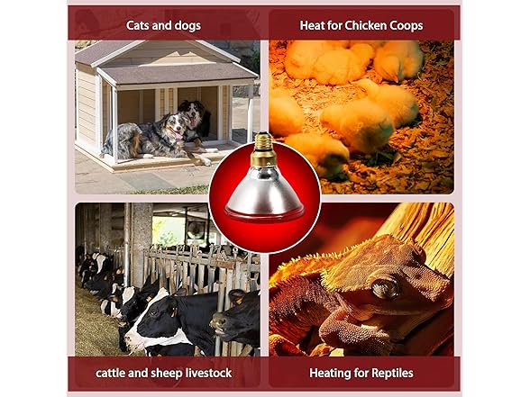 SFYJZJUUS 175 Heat Lamp Bulbs