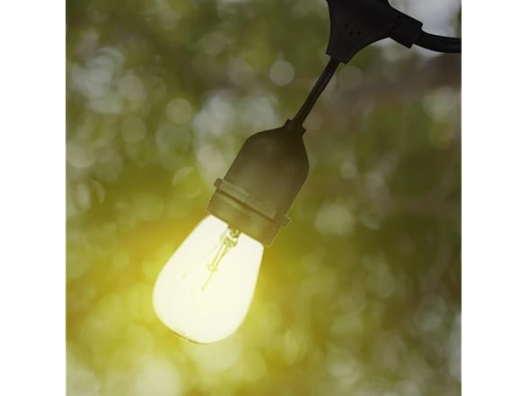 Globe Electric Dublin Collection, 48', S14, LED String Light Set