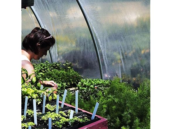 Clear Tarps Transparent 6x8ft