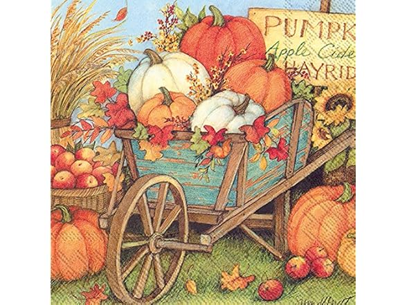 3-Ply Paper Napkins, 20-Ct, Pumpkin Crop