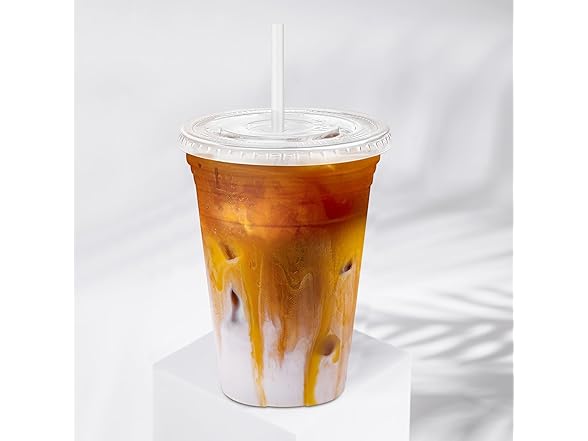 Fogein 16 oz Plastic Cups