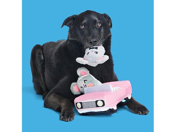 Barkbox Mister & Mouses Dog Toy | 3-in-1 Plush