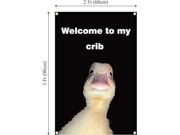 Generic Welcome to My Crib Flag