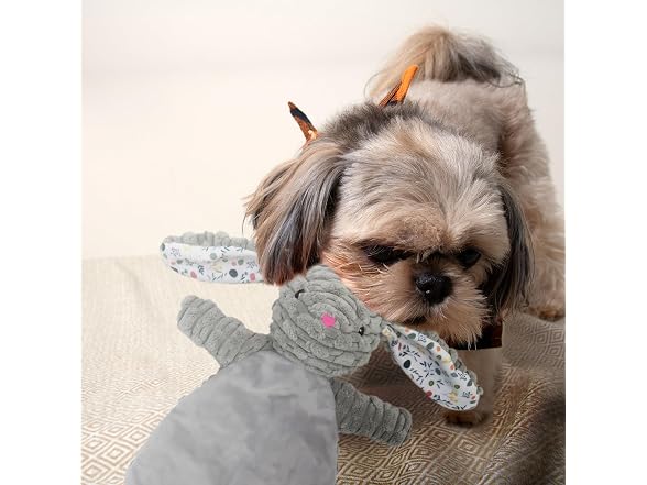 Linzy Plush Gray Bunny Dog Toy, Soft Squeaky
