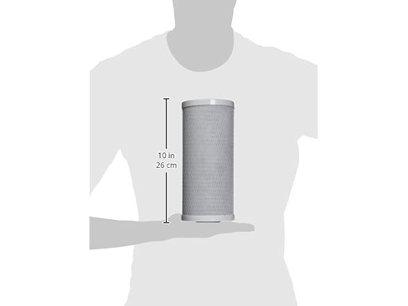 iSpring FC15B High Capacity Activated CTO