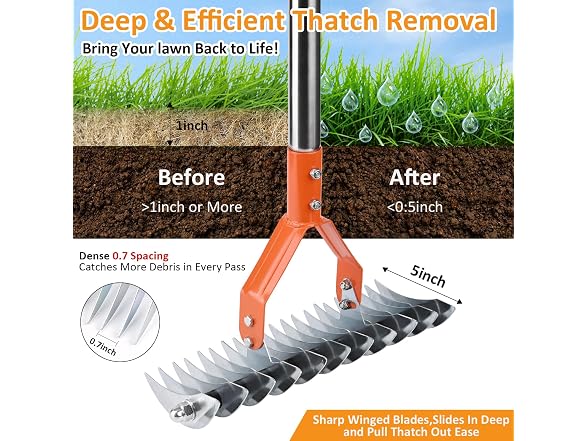 Hivenlly 15" Thatch Rake - Gallery 6