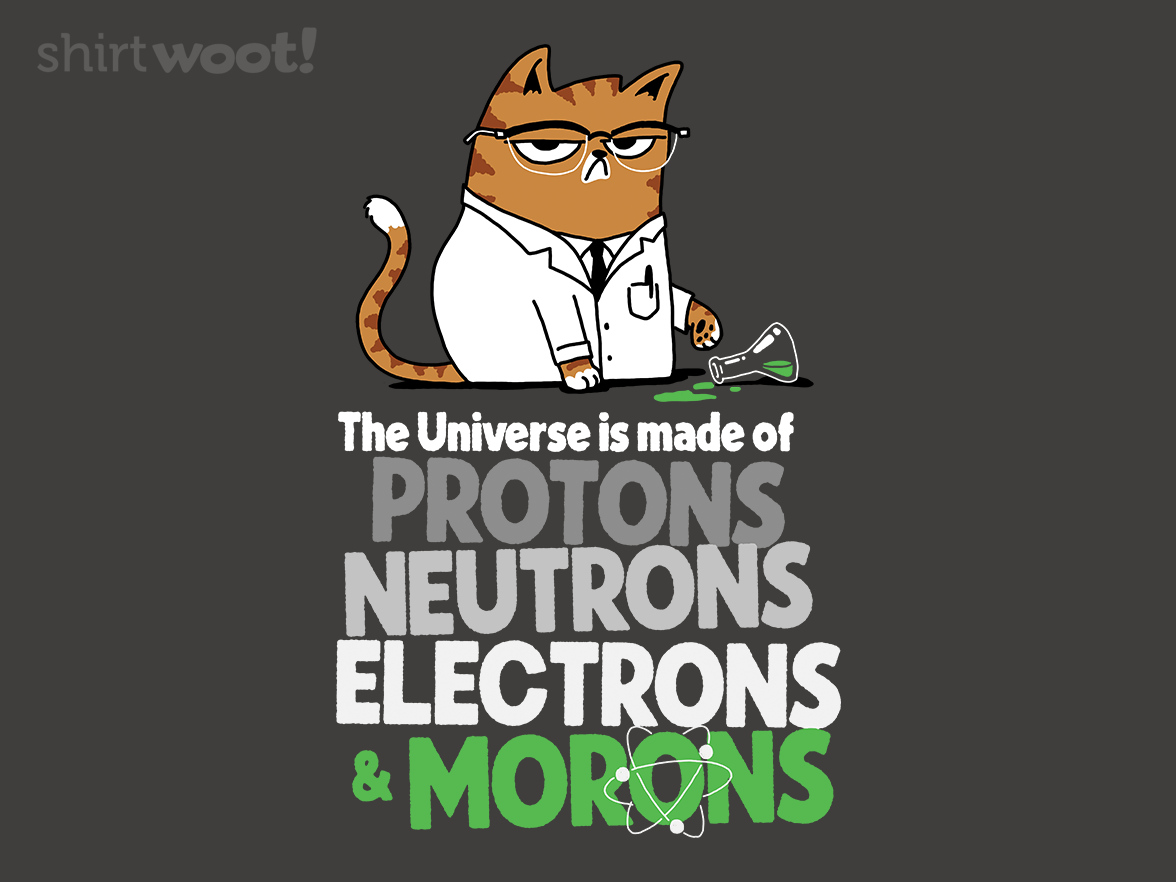 Morons - Gallery 4