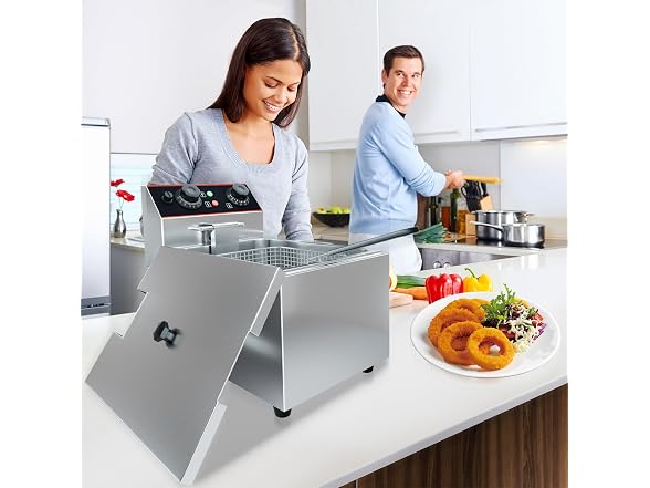 Professional Electric Deep Fryer for Home 8L