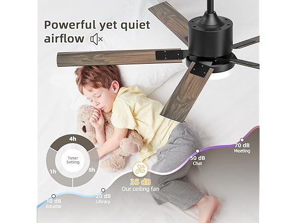Sky sea Ceiling Fan with Light, Black, 52 inch