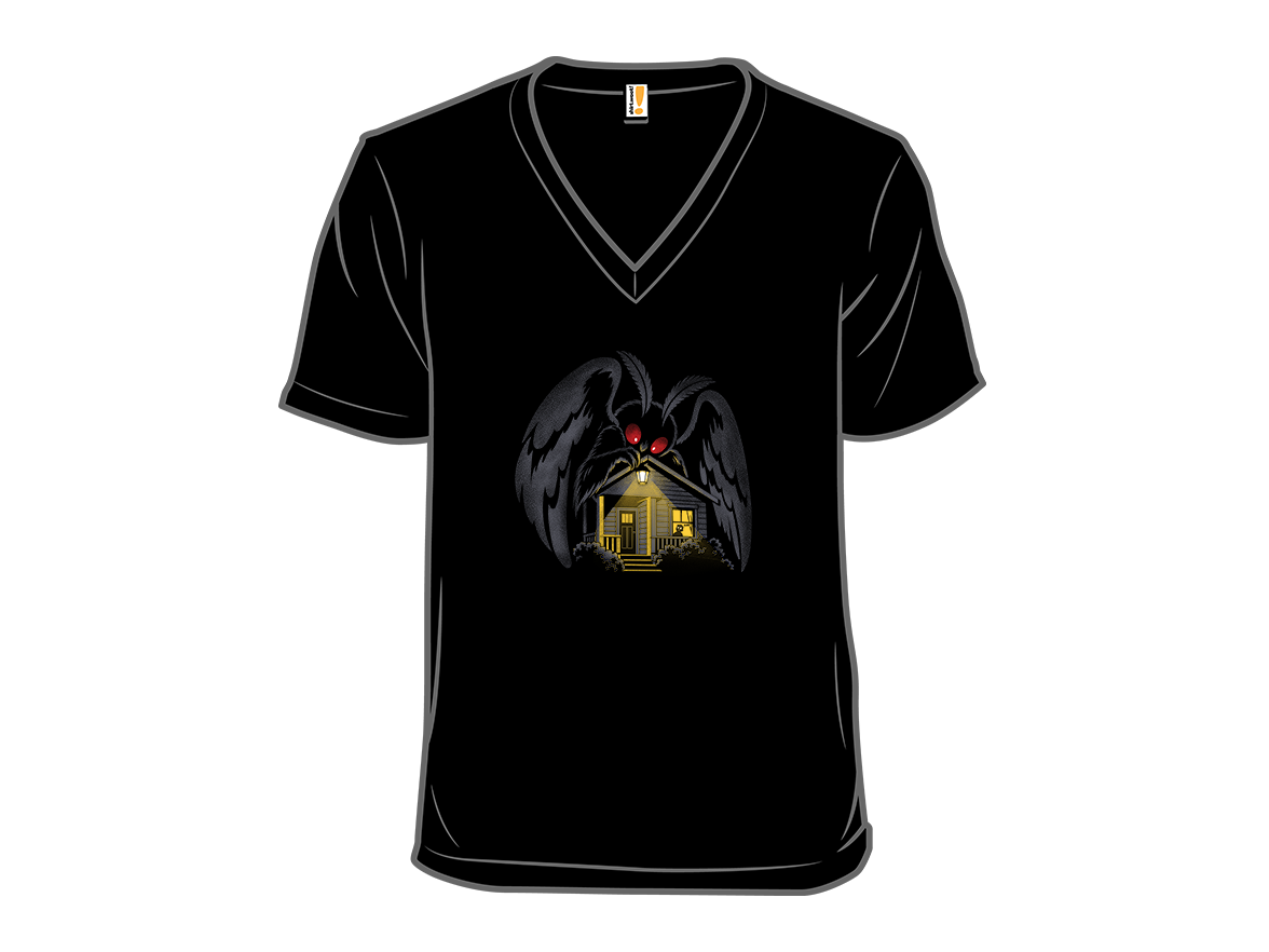 Mothman Again? - Gallery 10