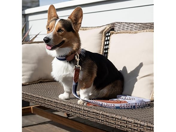 HARRY BARKER Duo Dog Leash and Collar