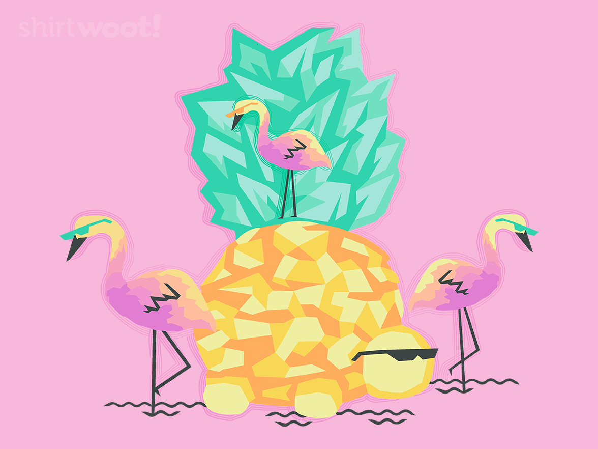Pineapple Turtle & Friends - Gallery 5