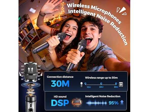 HWWR Bluetooth Karaoke Machine
