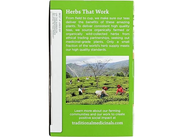 Green Tea Matcha Bags 16ct