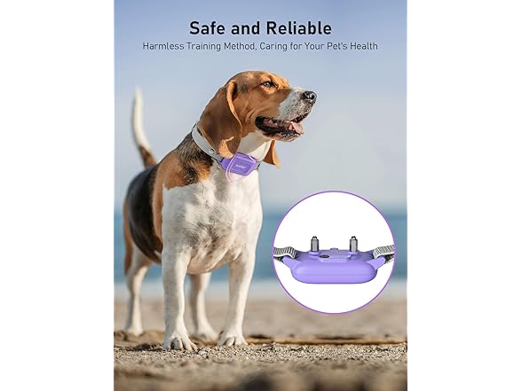 PLAYPET Dog Shock Collar, 2000FT