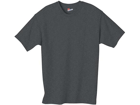 Hanes Men (Small-X-Large) Oz. Tagless T-Shirt