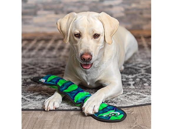 Outward Hound Durablez Large Snake Toy